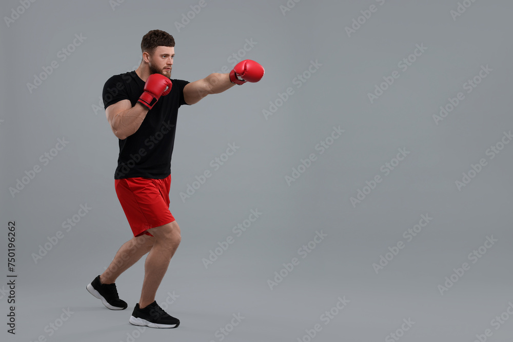 Man in boxing gloves fighting on grey background. Space for text Man in boxing gloves fighting on grey background. Space for text