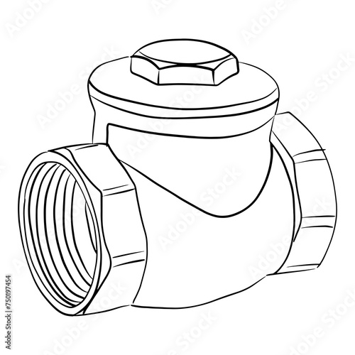 Stolen Check Valve