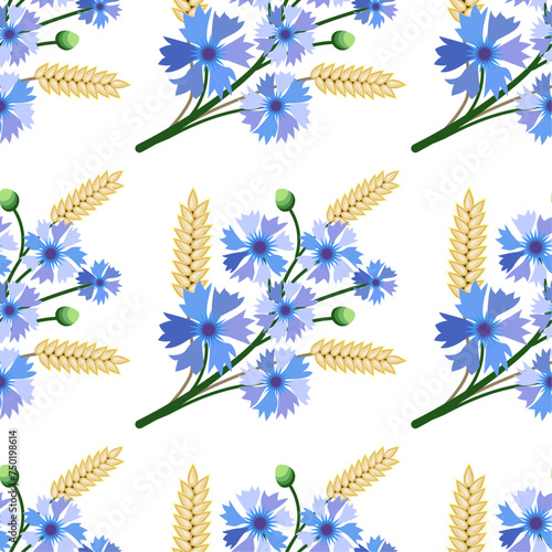 Vector illustration of pttern field bouquet, cornflowers, wheat, grain photo