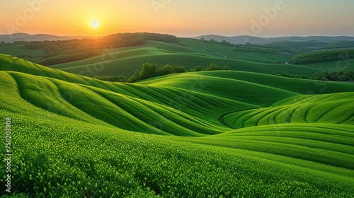  a field of green grass with the sun setting over the hills and hills in the distance  with trees in the foreground  and rolling hills in the background.