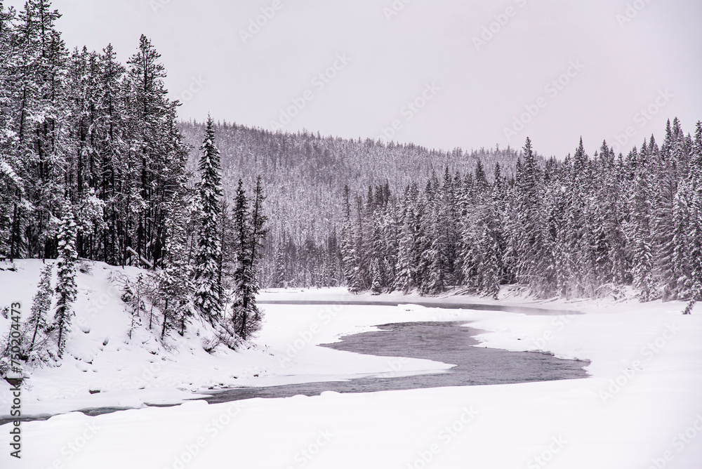 Jasper National Park,Canada - Dec. 25 2021: Frozen creek in surrounded by forest and rockie mountains in Jasper National Park Jasper National Park,Canada - Dec. 25 2021: Frozen creek in surrounded by forest and rockie mountains in Jasper National Park