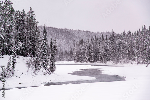 Jasper National Park，Canada - Dec. 25 2021: Frozen creek in surrounded by forest and rockie mountains in Jasper National Park © Vincent Jiang