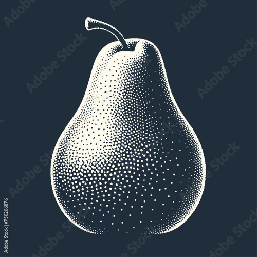 Pear. Vintage woodcut engraving stipple vector illustrator.