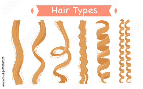 Curly hair types, infographic classification set vector illustration. Cartoon isolated group of light strands with different curls and structure, straight and frizzy, wavy and afro kinky hair