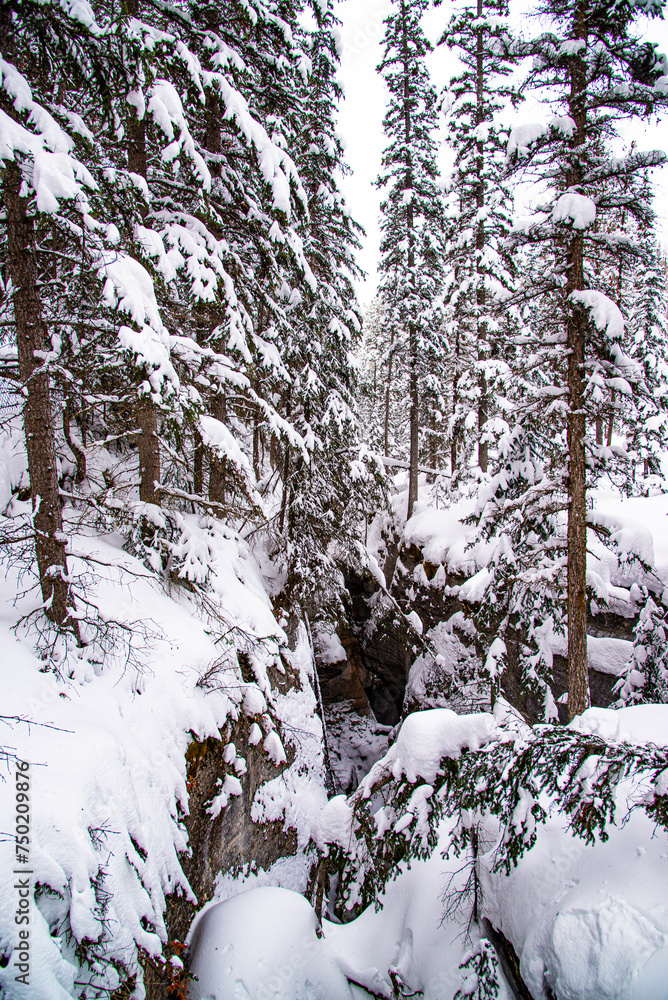 Maligne Canyon, Canada - Dec. 25 2021: Creek frozen in Maligne Canyon surounded by forest Maligne Canyon, Canada - Dec. 25 2021: Creek frozen in Maligne Canyon surounded by forest