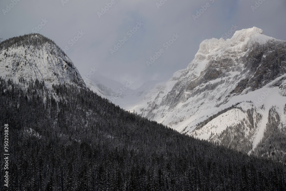 Yoho National Park, Canada - Dec. 23 2021: Frozen Emerald Lake hiding in winter forest surounded by rockies mountains in Yoho National Park Yoho National Park, Canada - Dec. 23 2021: Frozen Emerald Lake hiding in winter forest surounded by rockies mountains in Yoho National Park