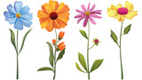 Flower set on stem cartoon isolated illustrations is