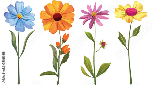 Flower set on stem cartoon isolated illustrations is © Hyper