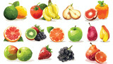 Fruits design over white background vector illustrat