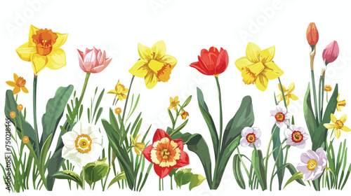 Illustration of flowers daffodil narcissus tulip fra photo