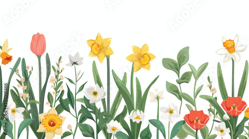 Illustration of flowers daffodil narcissus tulip fra photo