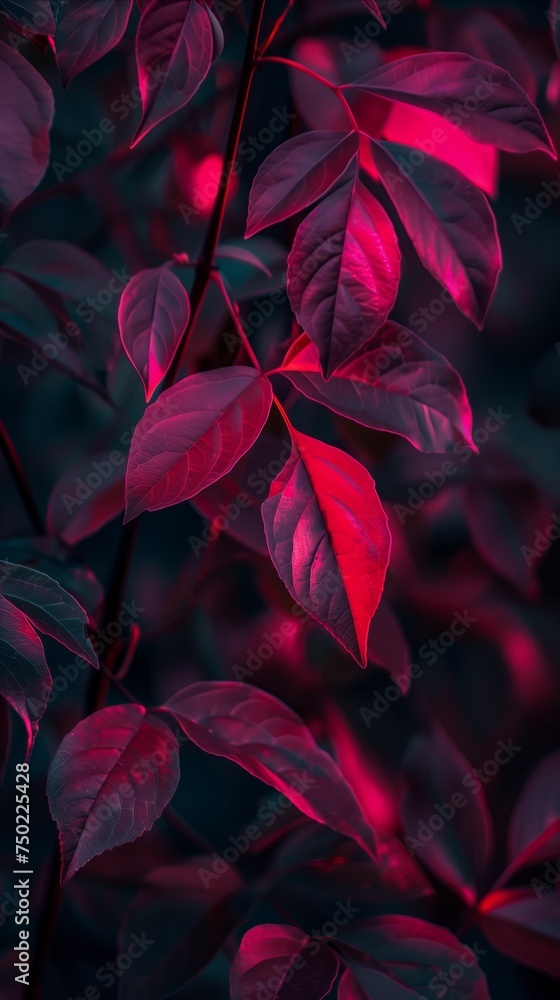 Vibrant red leaves in a dreamy dark botanical scene Vibrant red leaves in a dreamy dark botanical scene