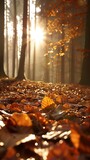 Golden autumn sunlight streaming through forest trees