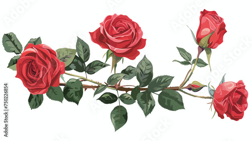 Roses red flowers floral isolated illustration isola © visual