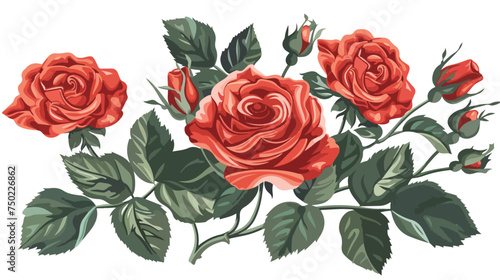 Roses red flowers floral isolated illustration isola © visual