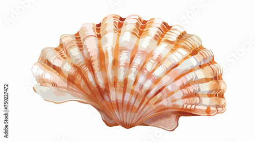 Sea shell isolated icon isolated on white background © visual