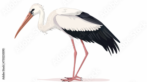 Stork stands bird cartoon animal isolated illustrati