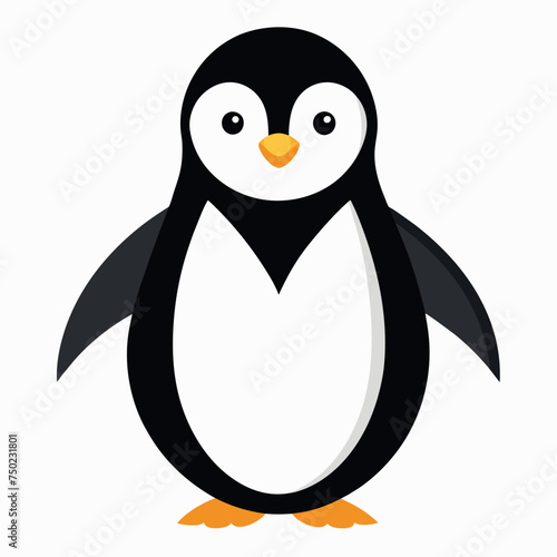 Penguin Vector Illustration, Beautiful Penguin photo