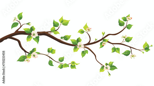 Tree branch floral icon isolated on white background