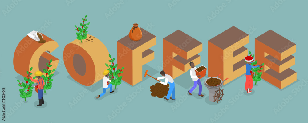 3D Isometric Flat Vector Illustration of Coffee Banner, Process of Production and Processing