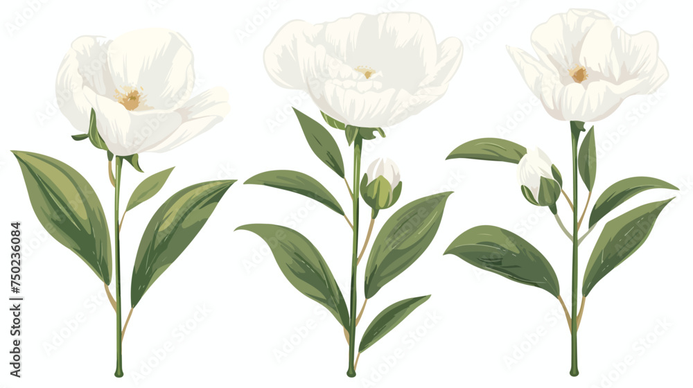 White flower on stem floral set cartoon isolated ill