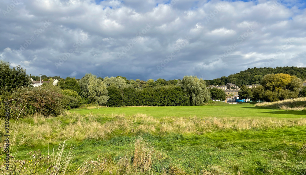 Rural landscape, with wild grasses, old trees, and houses in the distance near, Shipley, Yorkshire, UK