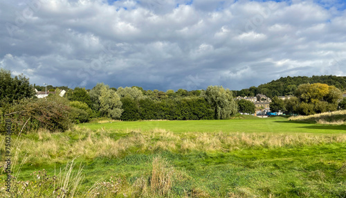 Rural landscape, with wild grasses, old trees, and houses in the distance near, Shipley, Yorkshire, UK