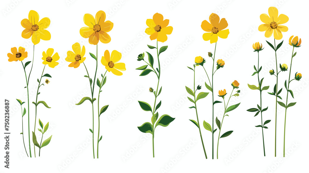 Yellow flower on stem floral set cartoon isolated il