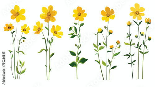 Fototapeta Naklejka Na Ścianę i Meble -  Yellow flower on stem floral set cartoon isolated il