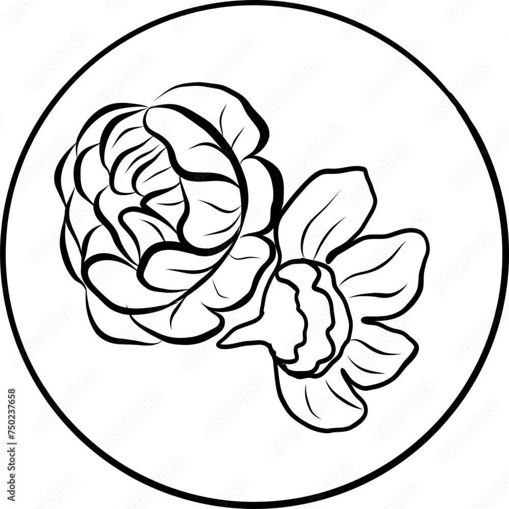 Obraz premium Jewish food. Hand drawn vector ink illustration.