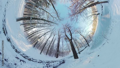 Embark on a captivating journey through a serene winter forest in this 360-degree virtual reality video. The immersive footage transports you to the heart of a snow-covered woodland , where youll feel