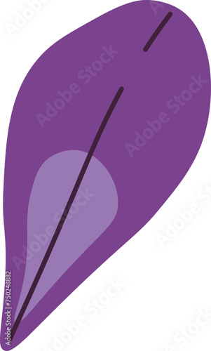Viola Flower Leaf