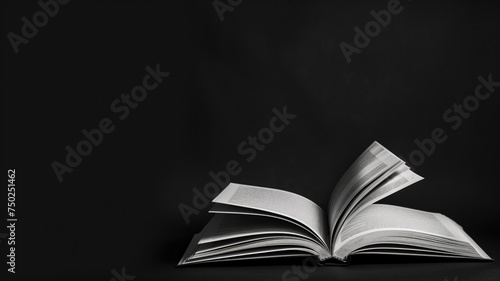 An open book illuminated by a spotlight against a dark background  symbolizing knowledge