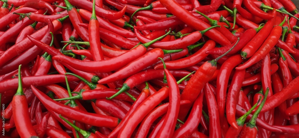 Pile of big Red Chili Peppers background ready sold in traditional market Indonesia. Vegetable chili ingredient for cooking