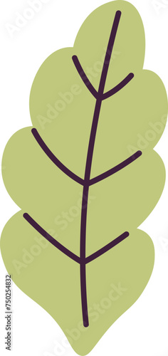 Viola Flower Leaf