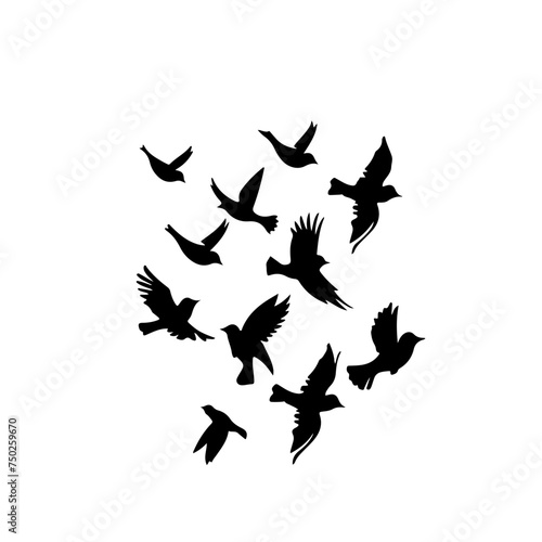 Flock Of Birds Logo Design