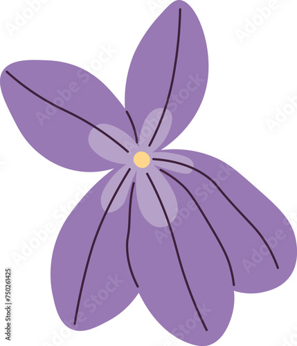 Viola Flower Head