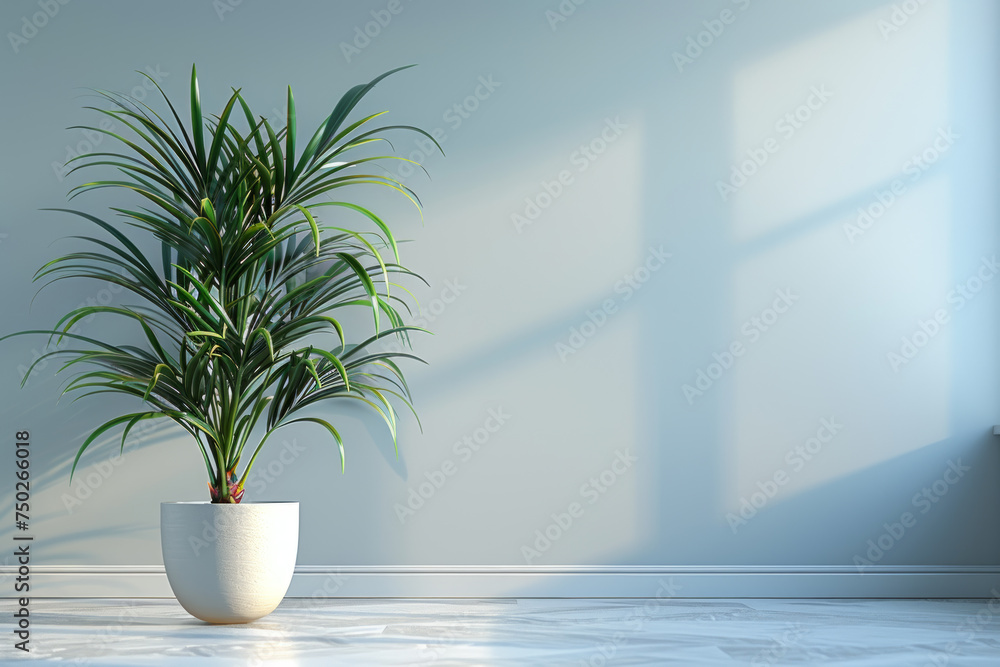 Tropical-looking houseplants in white pots in a minimalist, simple, white-walled living room with a calming atmosphere. Mockup and plant concept. Tropical-looking houseplants in white pots in a minimalist, simple, white-walled living room with a calming atmosphere. Mockup and plant concept.