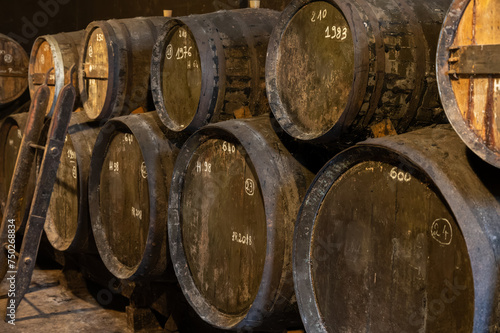 Aging process of cognac spirit in old French oak barrels in cellar in distillery in Cognac white wine region, Charente, Segonzac, Grand Champagne, France © barmalini