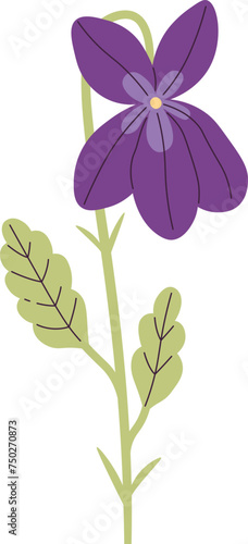 Viola Flower With Leaves