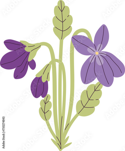Viola Flowers With Leaves