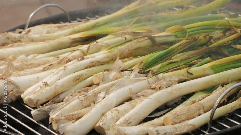 Traditional Spanish catalan green winter onion calcots, spring green season grill barbecue, vegan bbq with fire in Barcelona, Catalonia. Close up of grilling green onion. Traditional Spanish catalan green winter onion calcots, spring green season grill barbecue, vegan bbq with fire in Barcelona, Catalonia. Close up of grilling green onion.