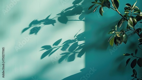 Serene Light   Shadow Play on Turquoise Wall for Product Showcasing