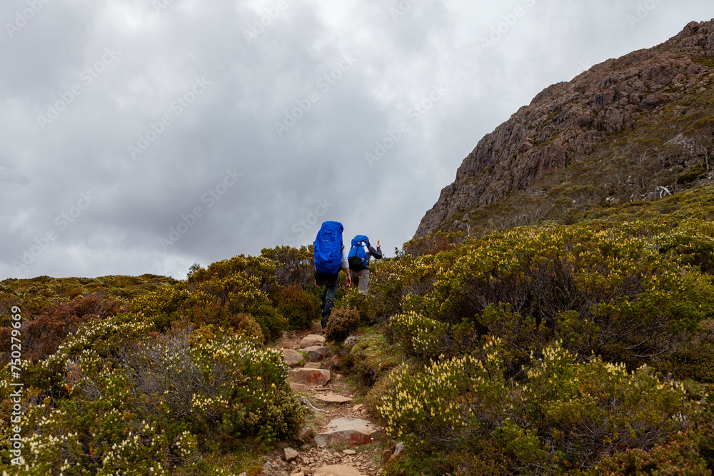 Walls of Jerusalem National Park, Central Highlands, Tasmania, Australia