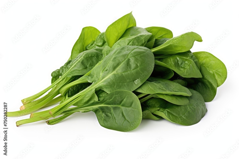Spinach, vegetable , white background. Spinach, vegetable , white background.