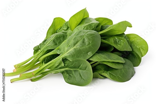 Spinach, vegetable , white background.