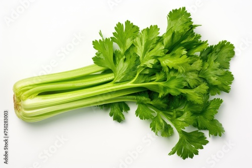 Celery, vegetable , white background.