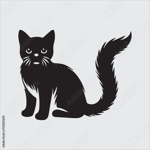 black cat on white