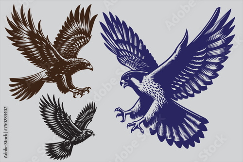 eagle in flight