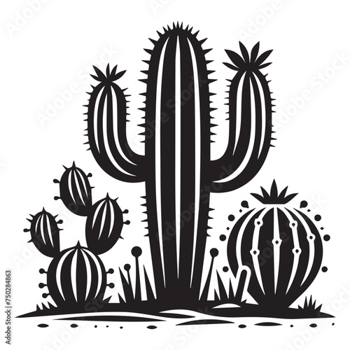 cactus silhouette photo